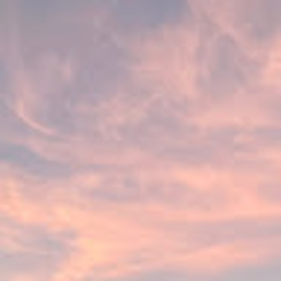 Meet your Posher, Sierra - Picture 1 of 1